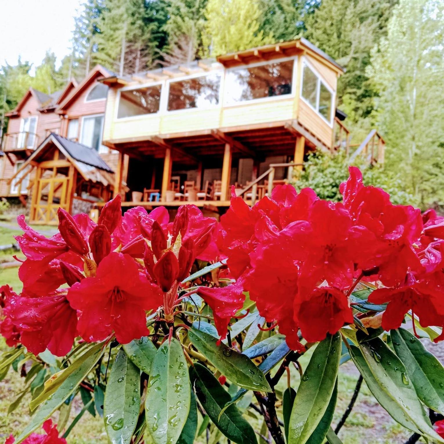 Hosteria Lekun Lekun Villa La Angostura Luaran gambar